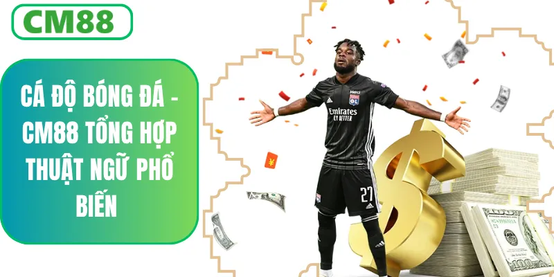 Cá Độ Bóng Đá CM88 – Tổng Hợp Thuật Ngữ Cơ Bản Dễ Hiểu Nhất