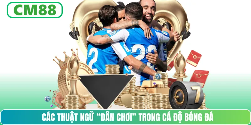 Các thuật ngữ “dân chơi” trong cá độ bóng đá