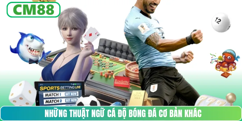 Những thuật ngữ cá độ bóng đá cơ bản khác